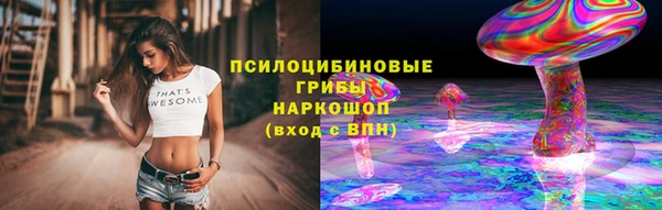 таблы Надым