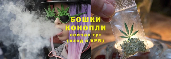 амф Новозыбков