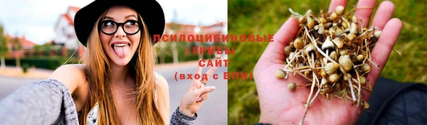 таблы Видное