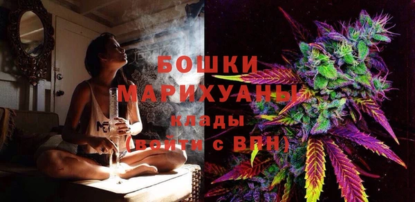 амф Новозыбков