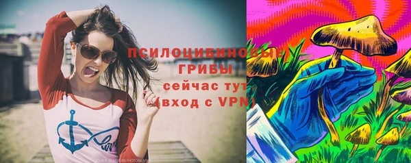ешки Весьегонск