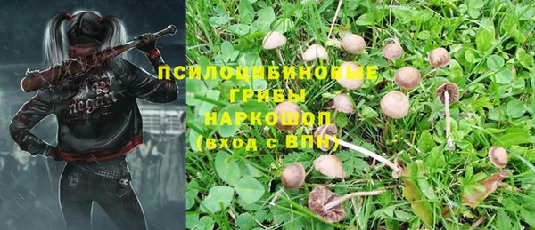 прущая мука Нефтегорск