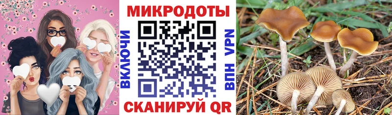 Псилоцибиновые грибы мухоморы  blacksprut сайт  Оленегорск 